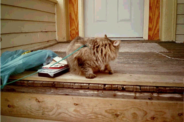 Maxine's waiting to go inside now